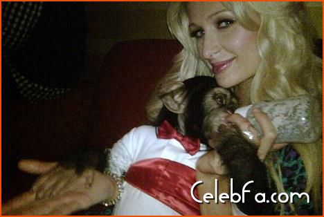 Paris Hilton-monkey-celebfa-com (2)