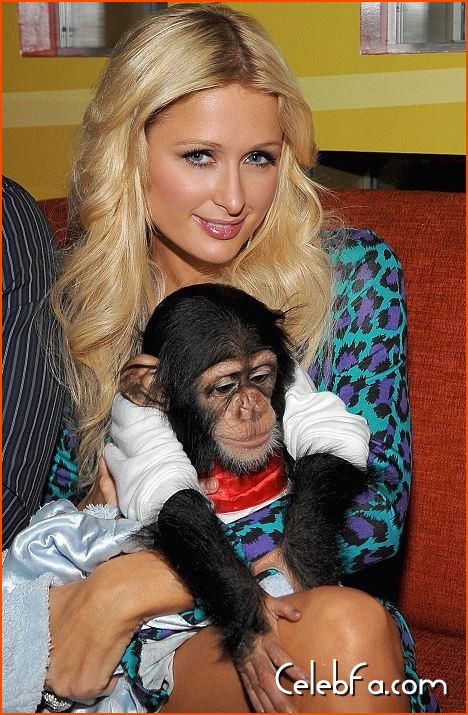 Paris Hilton-monkey-celebfa-com (4)