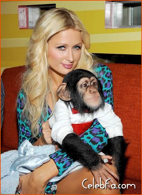 Paris Hilton-monkey-celebfa-com